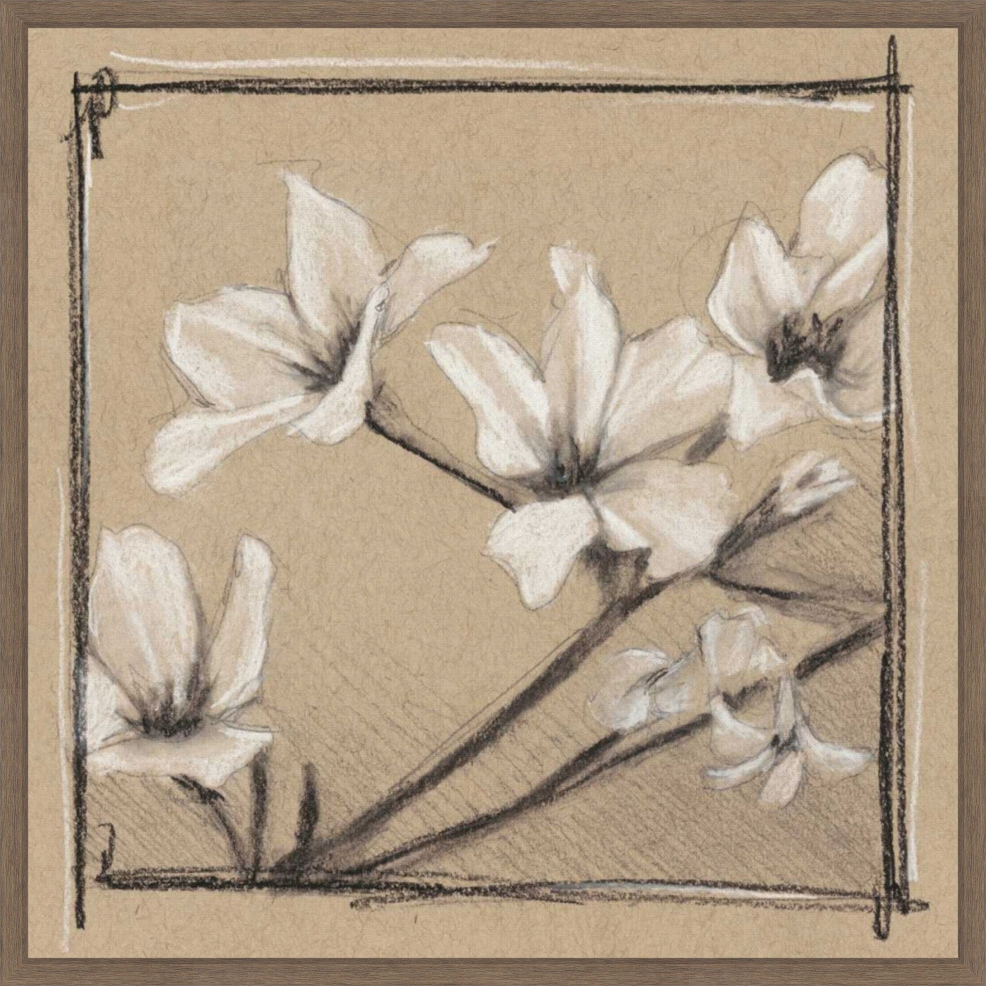 White Floral Study No. 1 By Ethan Harper 22 X 22 In. Framed Canvas Wall Art Print