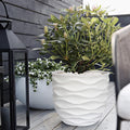 White Wavy Design Planter