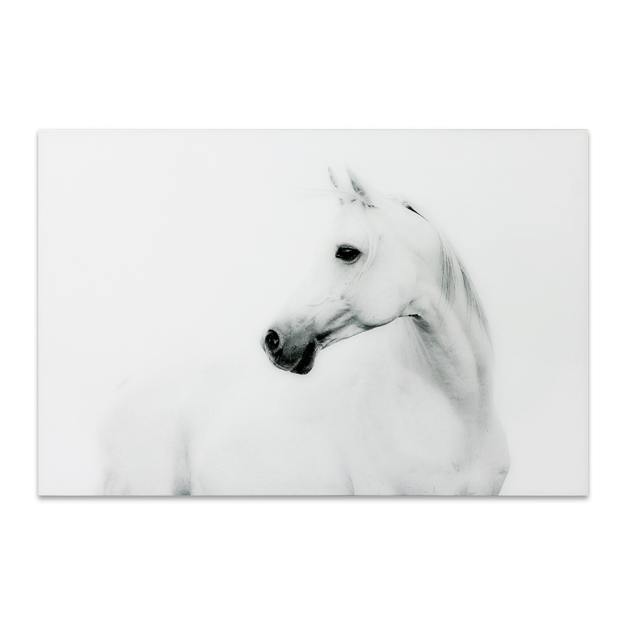 White Horse Frameless Free Floating Tempered Art Glass Wall Art