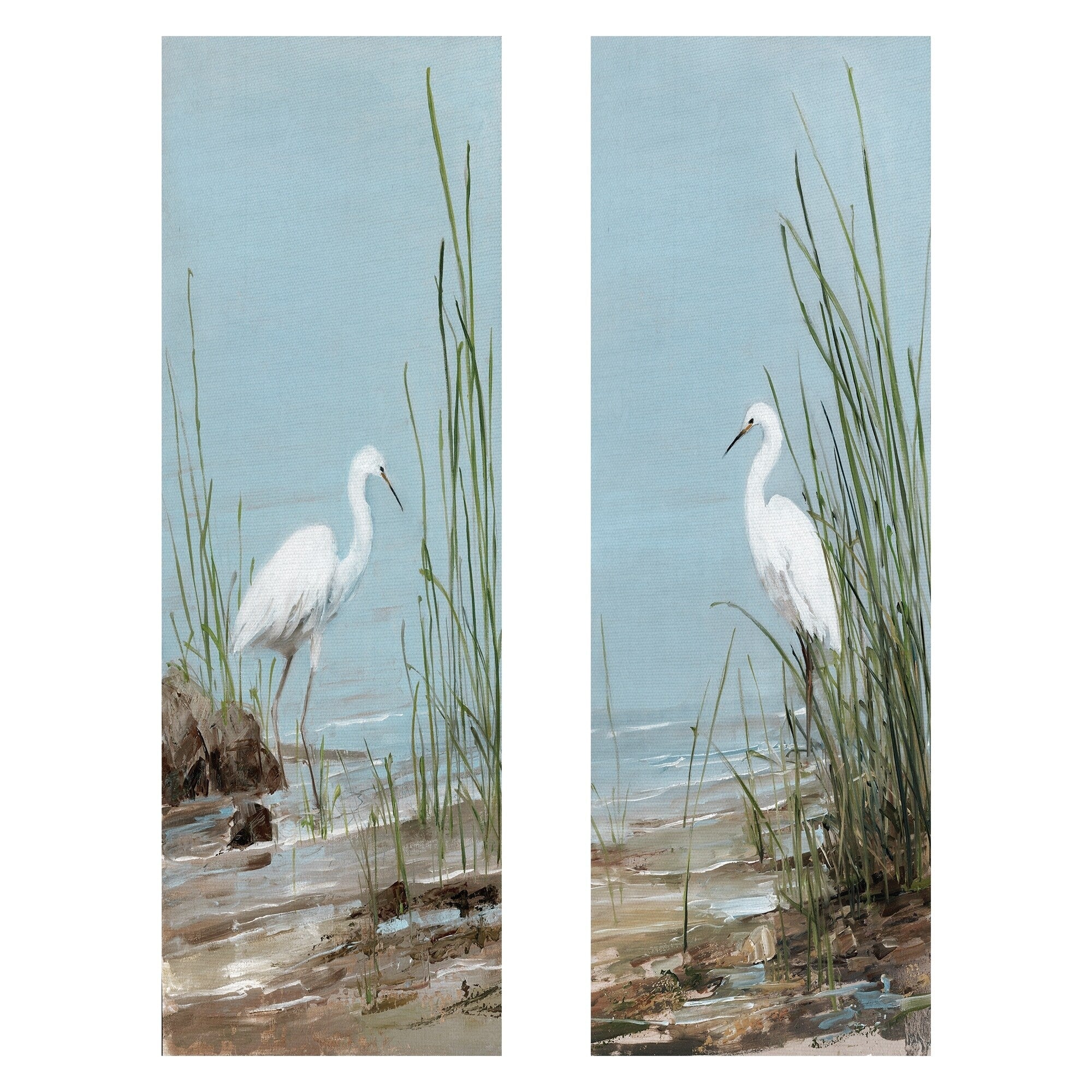 White Shorebird I And Ii Wrapped Canvas Art Set 2