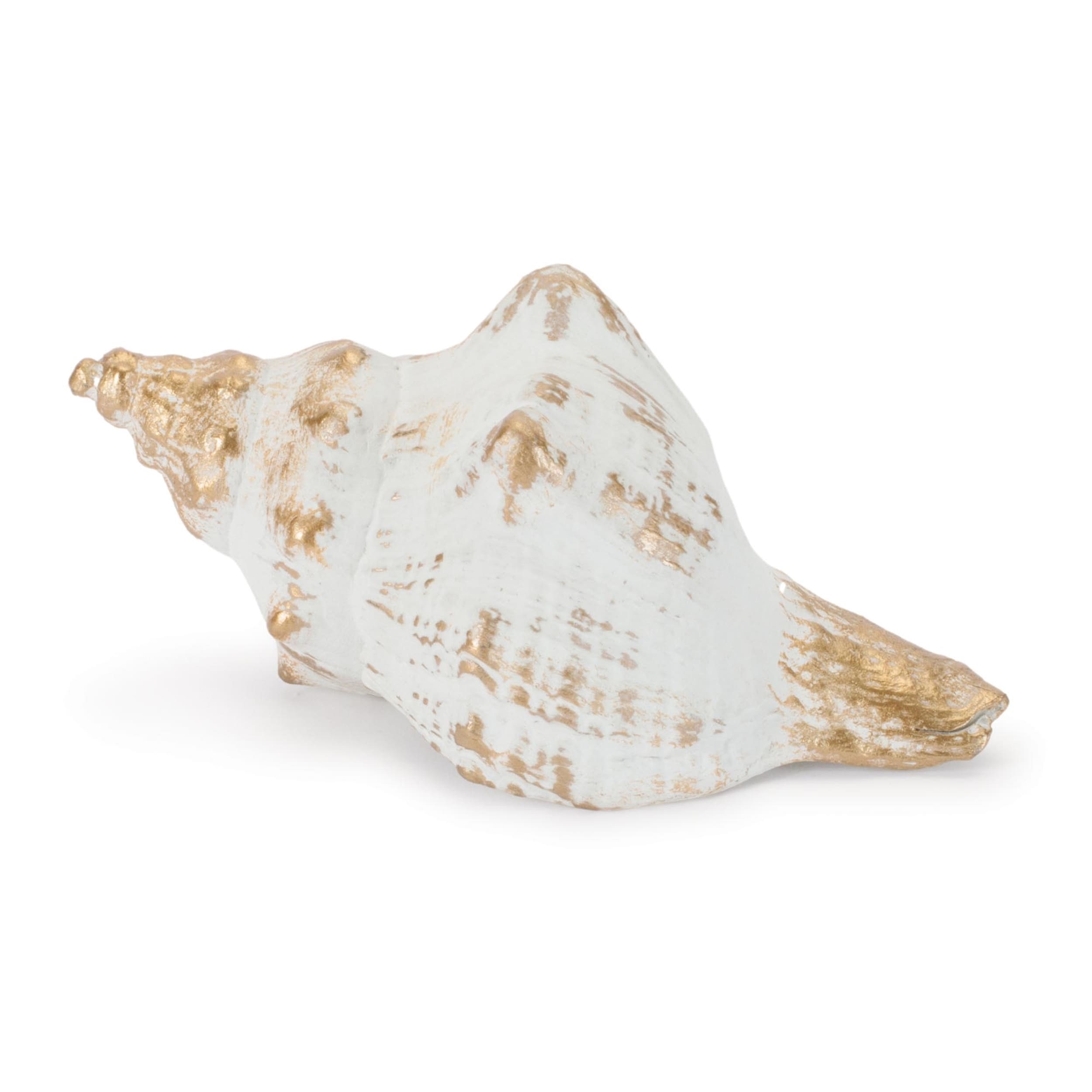 Whitewashed Coastal Seashell D Cor Set Of 4