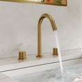 Widespread 2 Handle Bathroom Faucet 3 Hole Bathroom Sink Faucet With Pop Up Drain