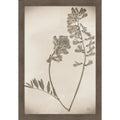 Wildflower Journal Vintage No. 6 By Nathan Larson Wood Framed Wall Art Print