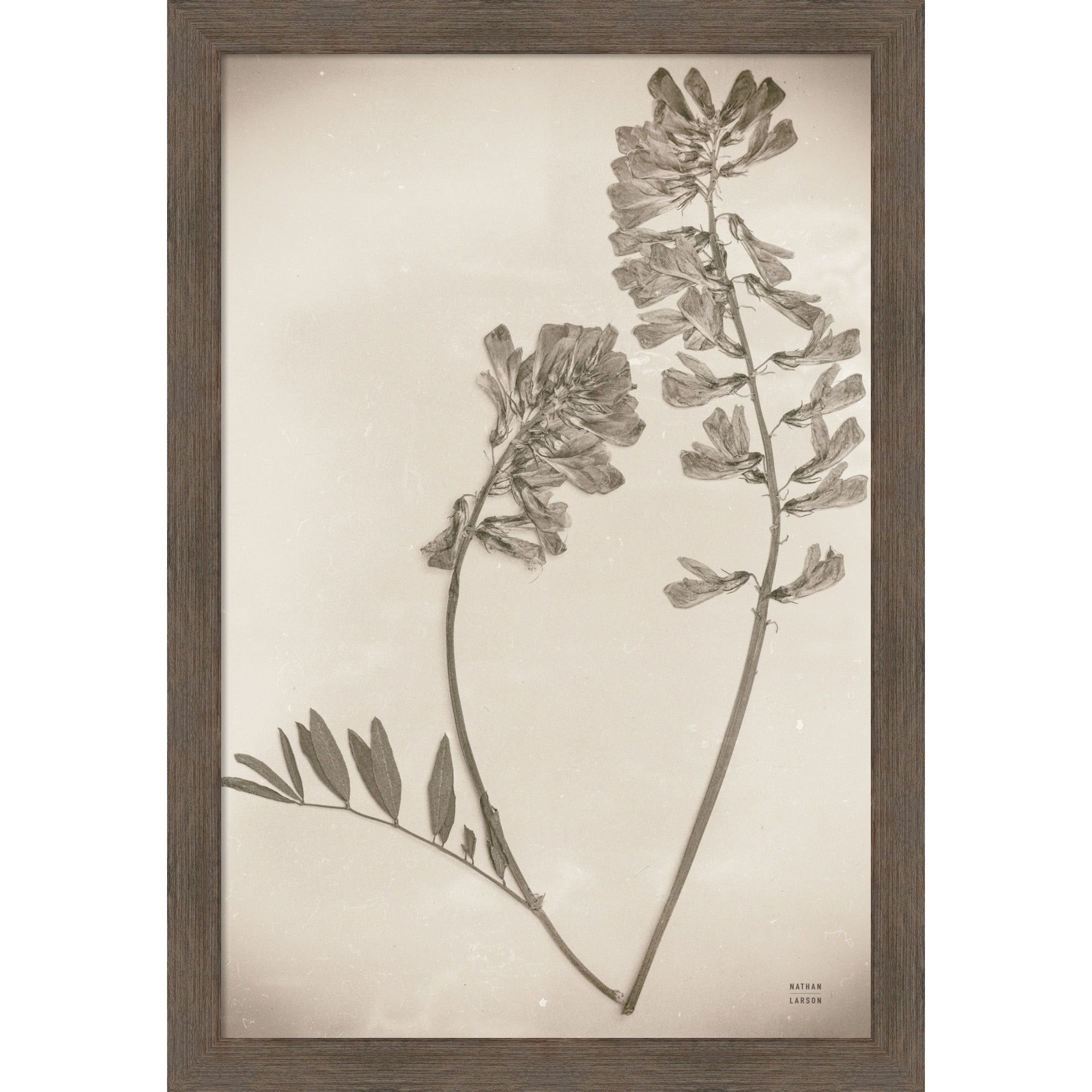 Wildflower Journal Vintage No. 6 By Nathan Larson Wood Framed Wall Art Print