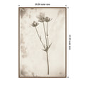 Wildflower Journal Vintage No. 8 By Nathan Larson Framed Canvas Wall Art Print