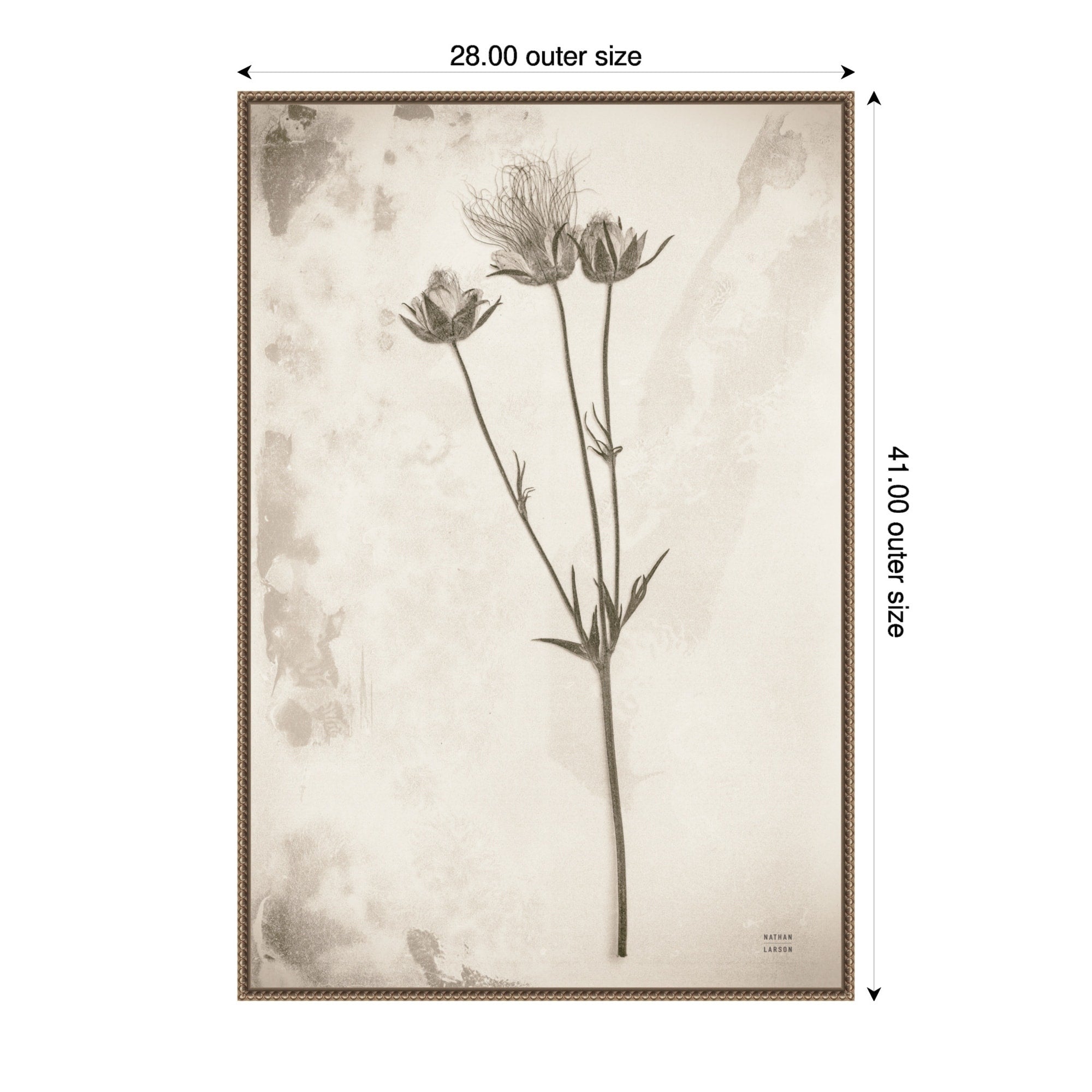 Wildflower Journal Vintage No. 8 By Nathan Larson Framed Canvas Wall Art Print