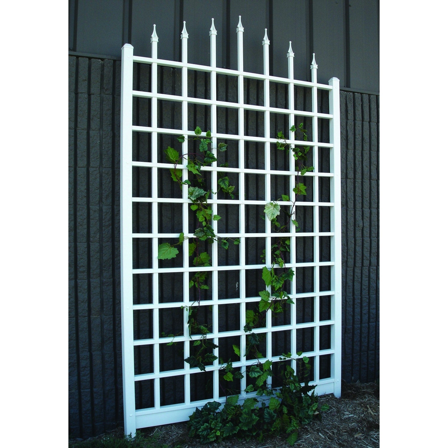 Winchester Trellis