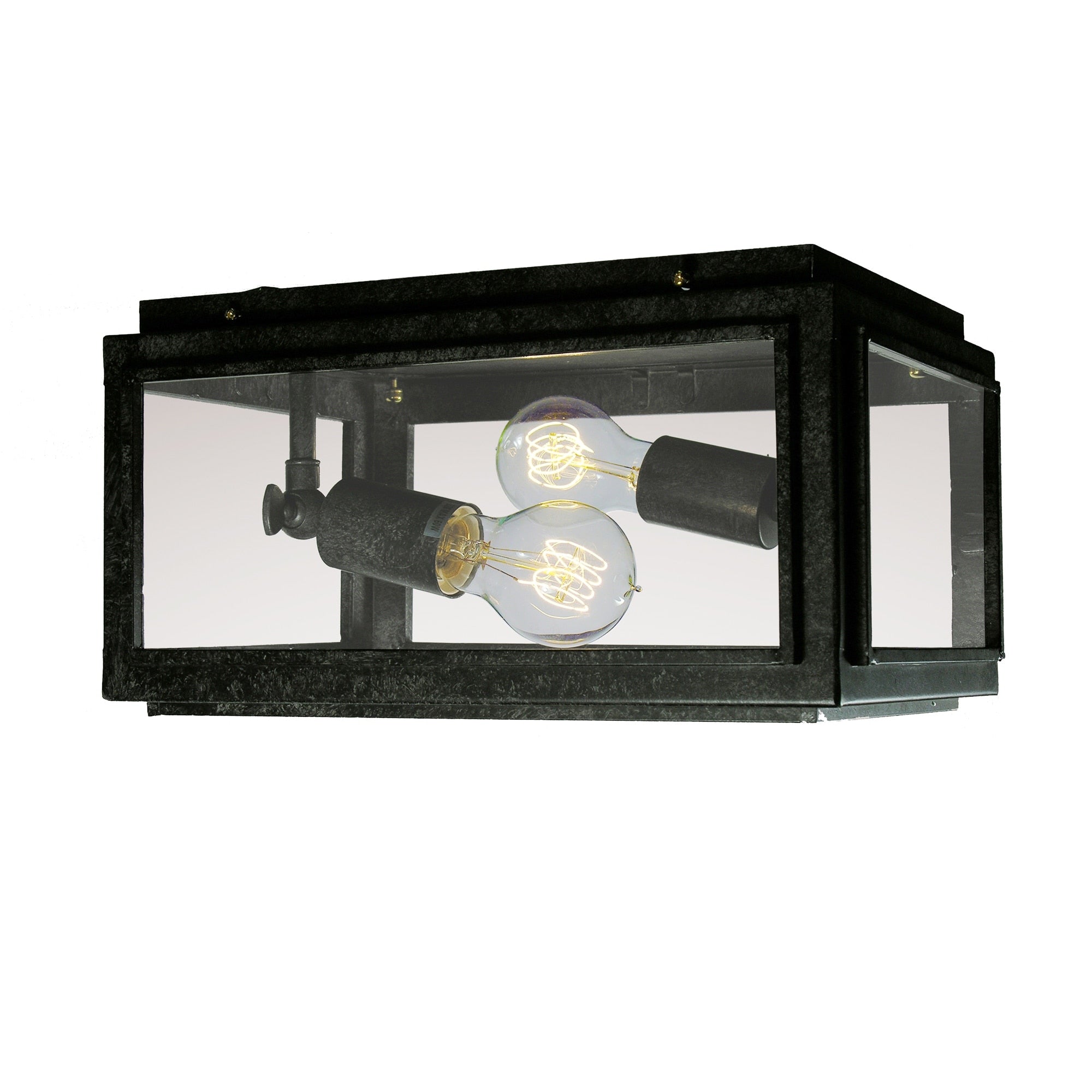 Windee 2 Light Edison Flush Mount With Bulbs