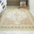 Windsor Traditional Persian Area Rug