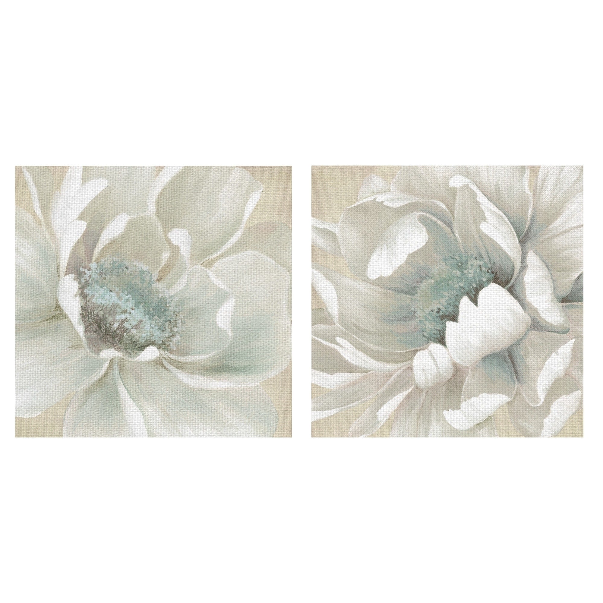 Winter Blooms I Ii By Carol Robinson Canvas Art