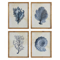 Wood Framed Wall Art With Shells Coral Set Of 4 Designs