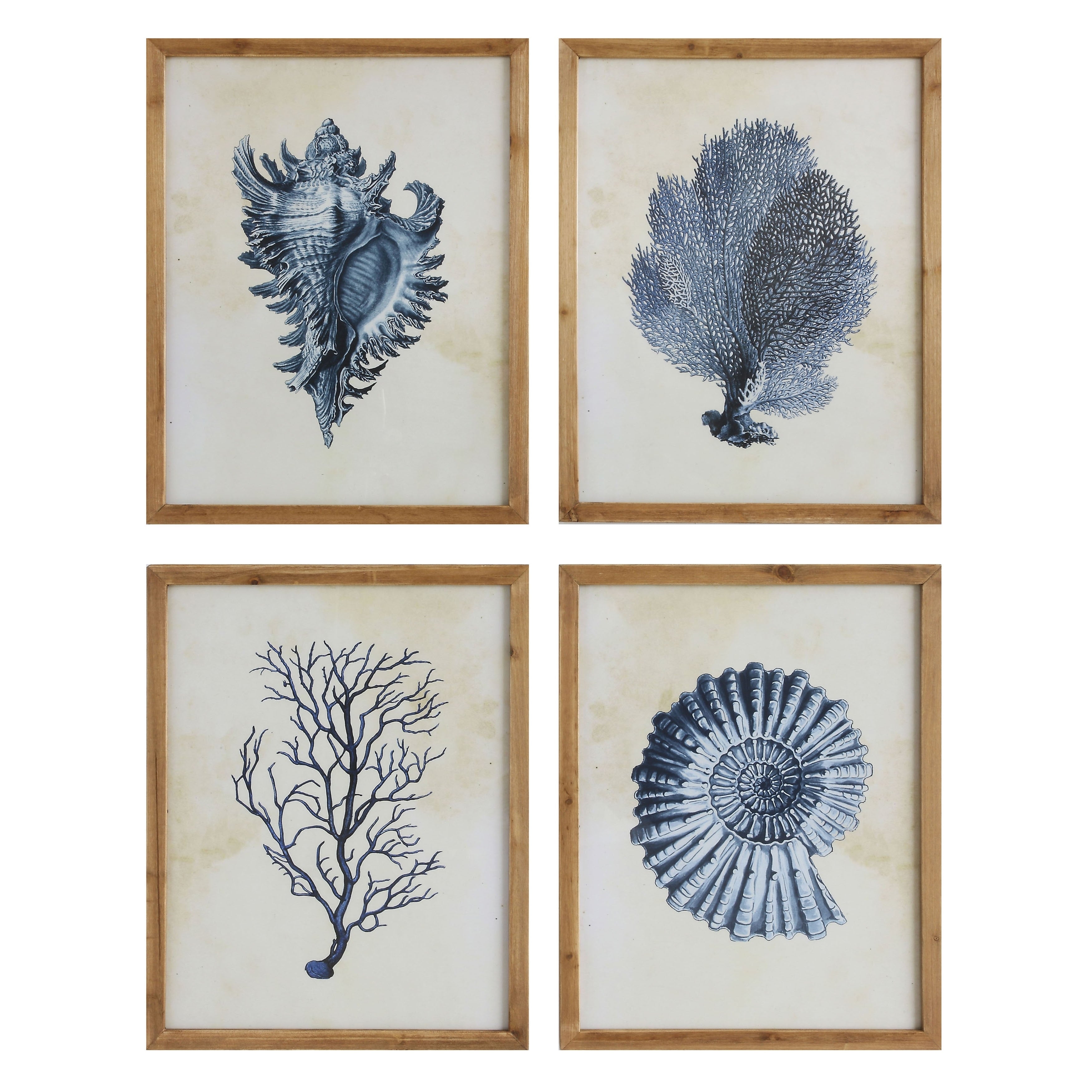 Wood Framed Wall Art With Shells Coral Set Of 4 Designs