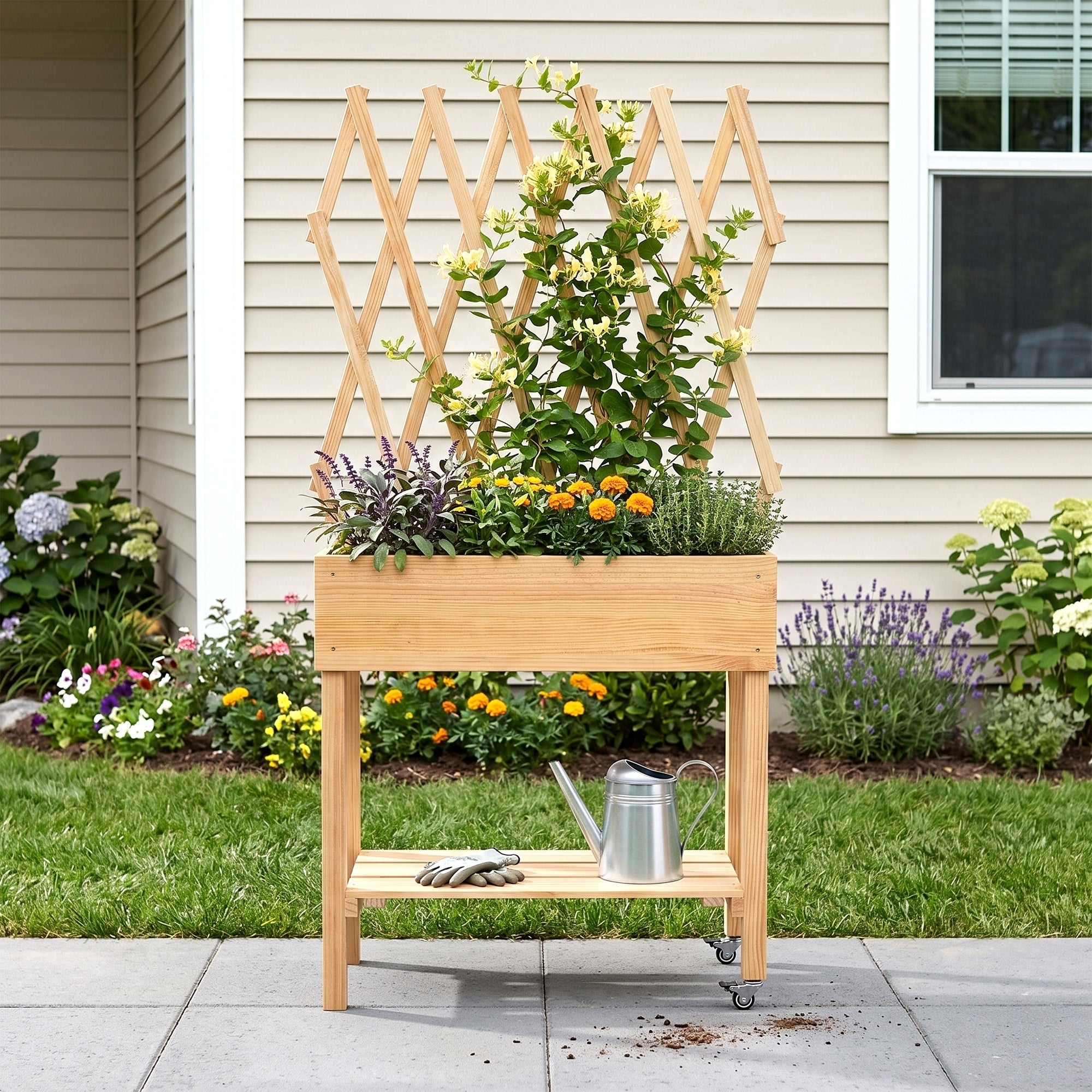 Wood Raised Garden Bed Outdoor Elevated Planter Box 71 X47