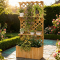Wooden Multi Functional Planter Box With Trellis Roof And Shelves