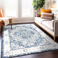 Vintage Oriental Distressed Medallion Rug