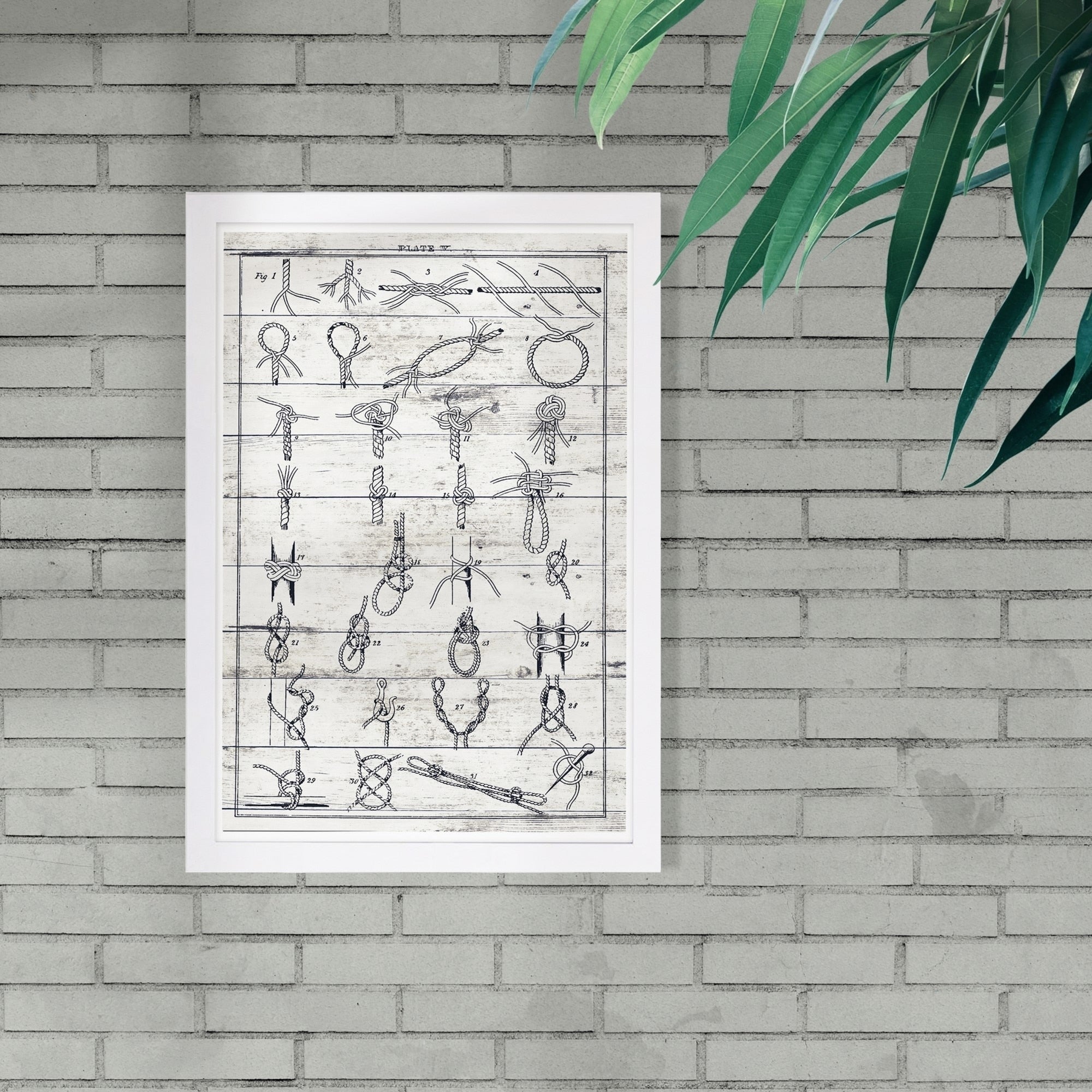 Wynwood Studio Sea Knots Ii Nautical And Coastal Framed Wall Art Print Blue White