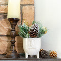 Xmas Mix In 6 Cardinal Ceramic Footed Pot