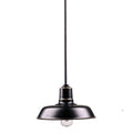 Y Decor Aurora 1 Light Outdoor Pendant In Imperial Black