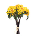Yellow Berry Bundle Set Of 2