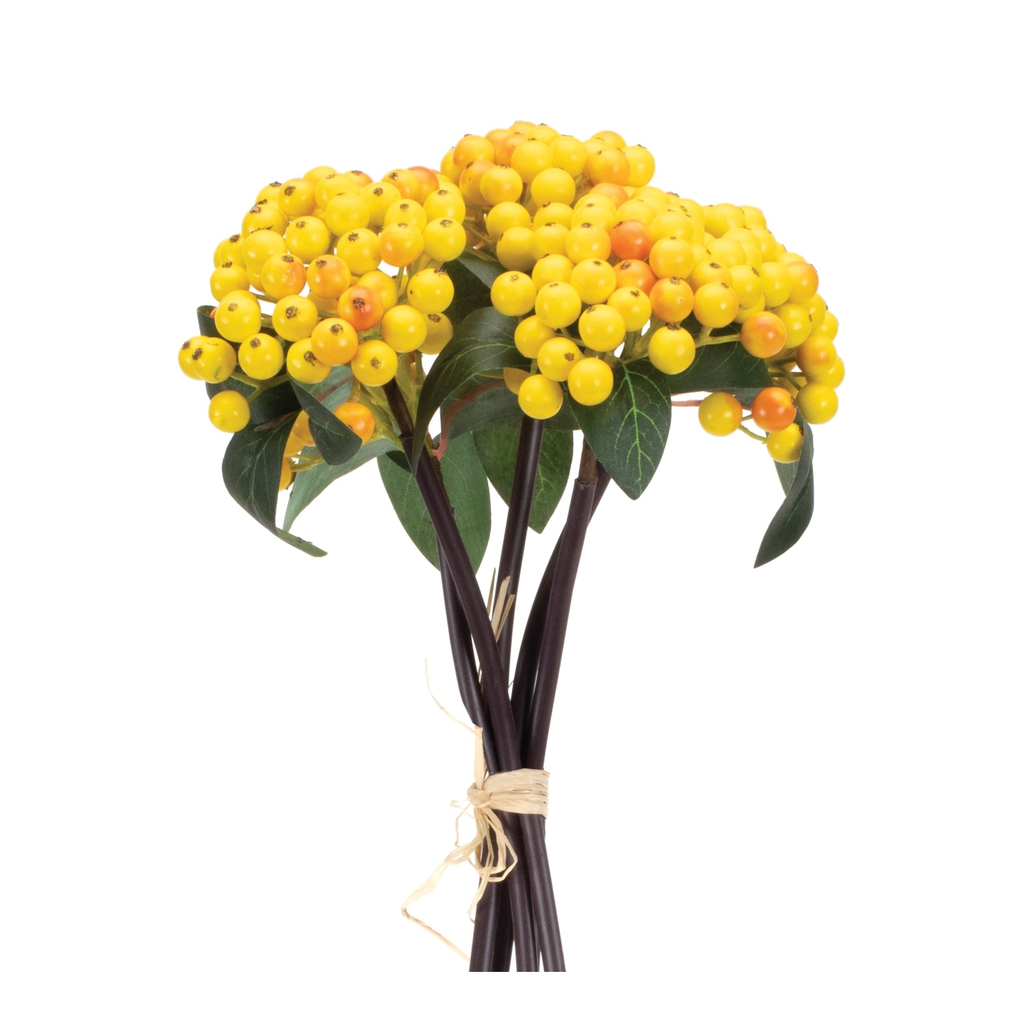 Yellow Berry Bundle Set Of 2