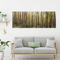 Yosemite Home D Cor Sunlit Colorado Trees Tempered Glass Wall Art