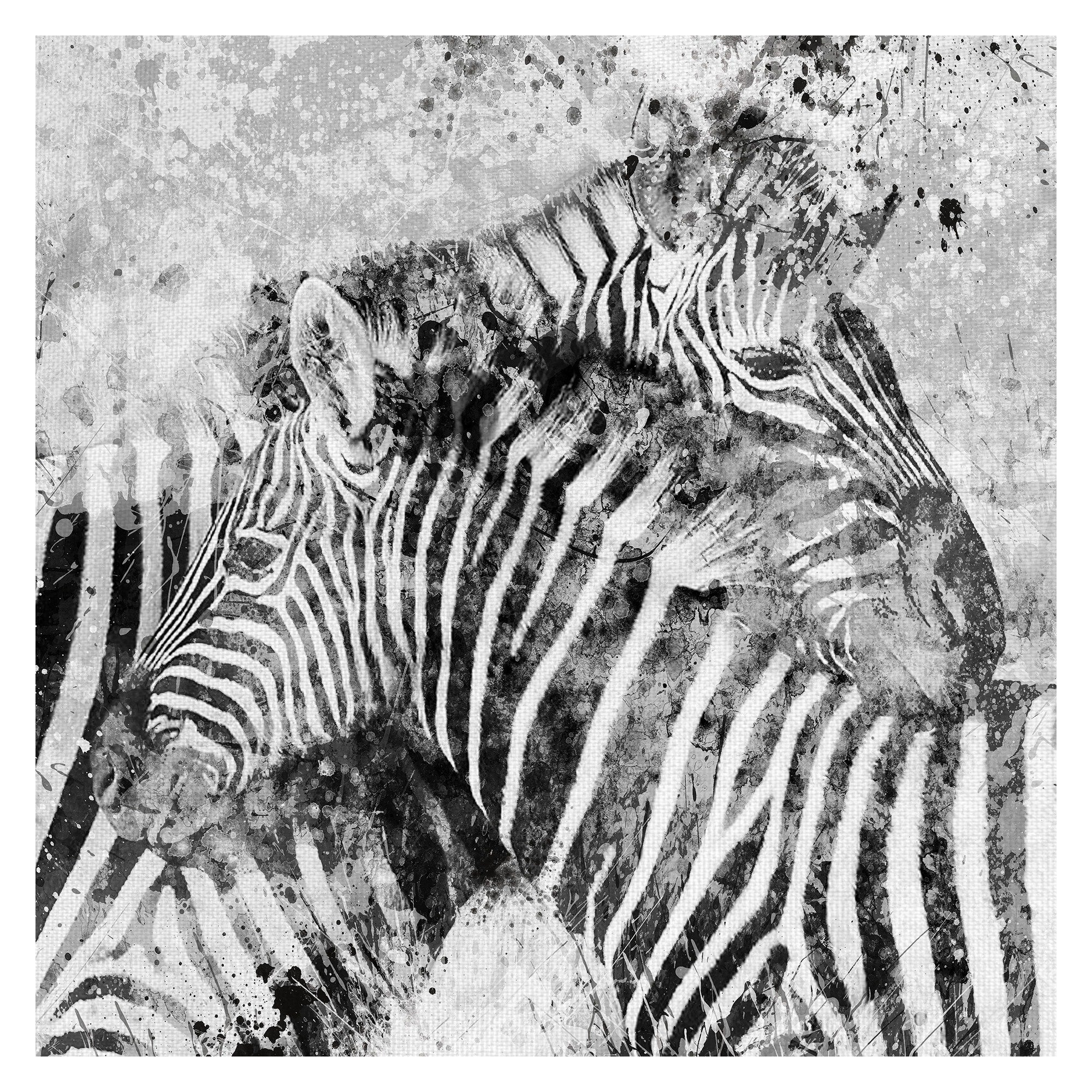 Zebra Pair By Carol Robinson Wrapped Canvas Art Print