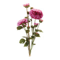 Zinnia Flower Bundle Set Of 2