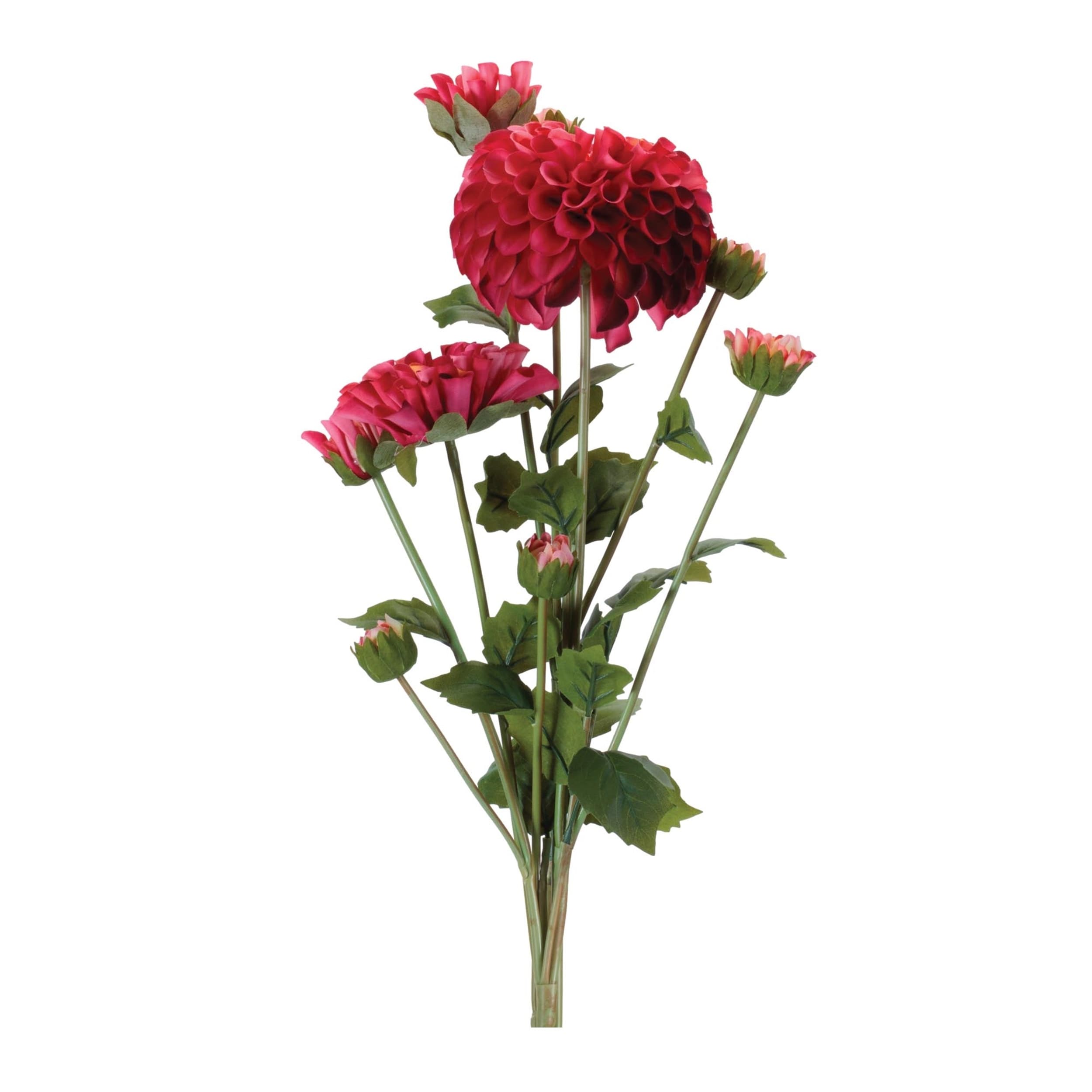 Zinnia Flower Bundle Set Of 2
