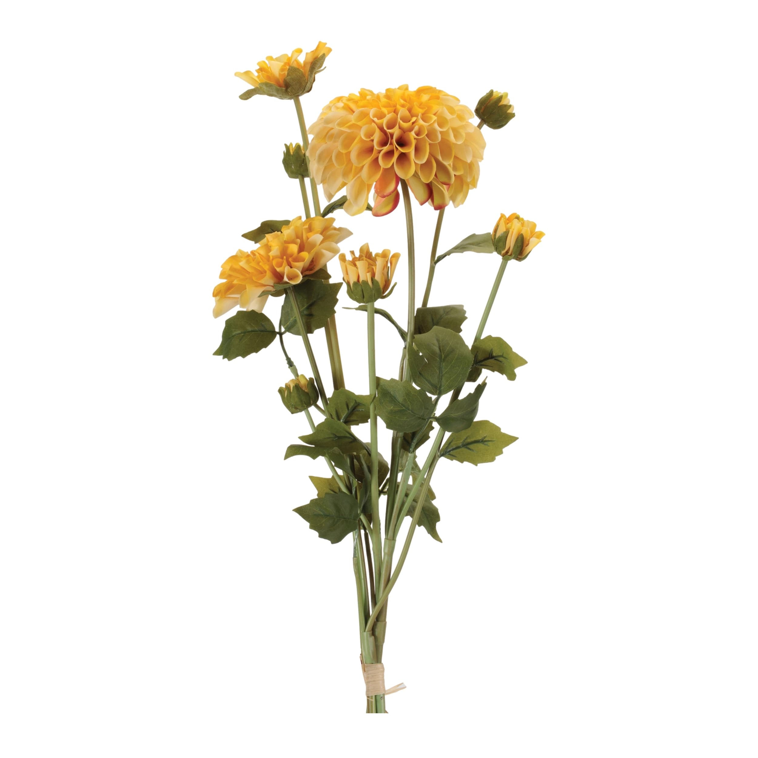 Zinnia Flower Bundle Set Of 2