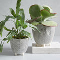 Art in the Forest Cachepots - Herringbone