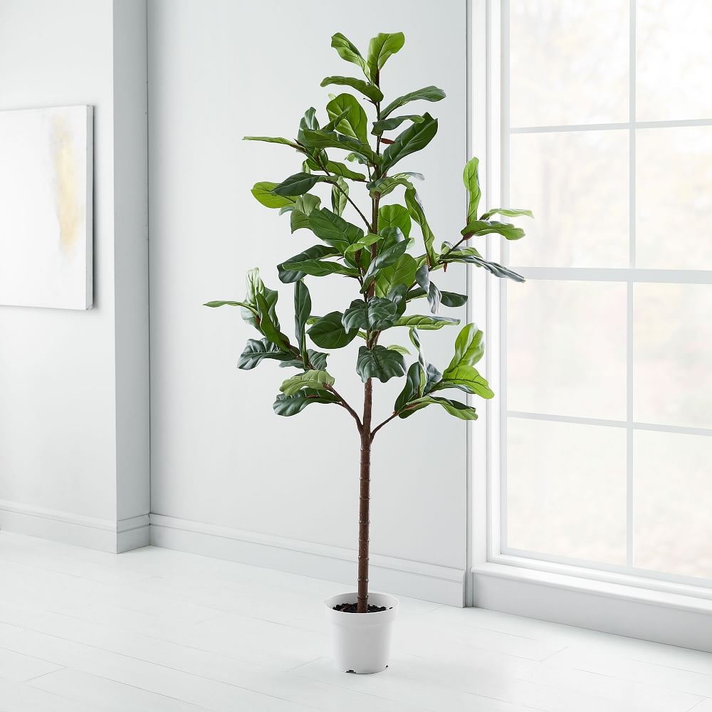 Faux Fiddle Leaf Fig Tree - 213 cm