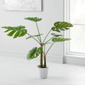 Faux Monstera Plant