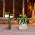 Cecilia Tabletop Planters