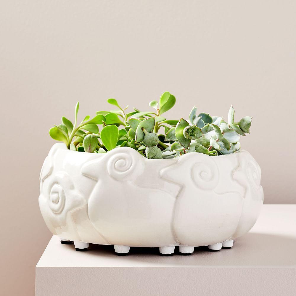Ceramic Flock of Sheep Planter