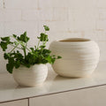 Rounded Ceramic Fluted Tabletop Planters