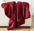 Pottery Barn Cosy Cloud Plush Throw