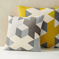 Cody Hoyt Plus Cushion Covers