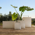 Curved Square Ficonstone Indoor/Outdoor Planter