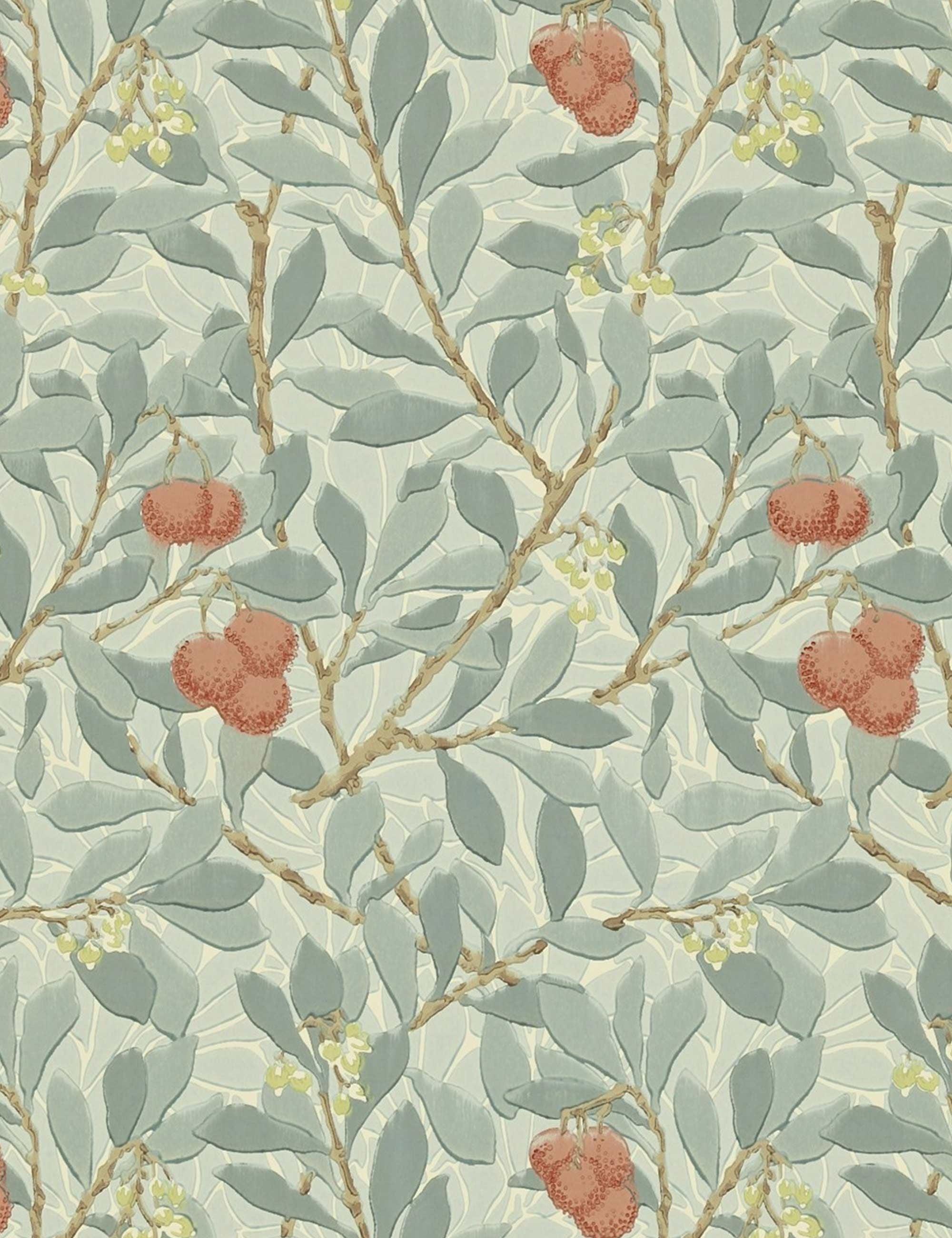 Arbutus Wallpaper