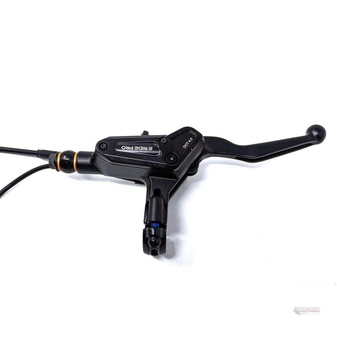 E-Ride Pro SE/ SS 2.5 Rear Brake Assembly