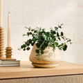 Faux Eucalyptus Potted Plant