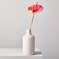 Faux Botanicals - Anthurium