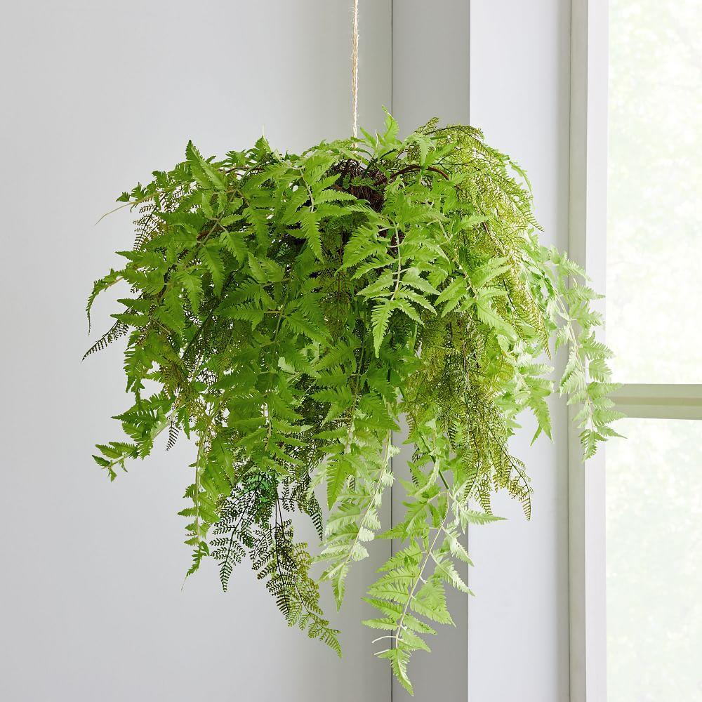 Faux Hanging Fern Plant