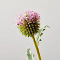 Faux Botanicals - Silver Thistle