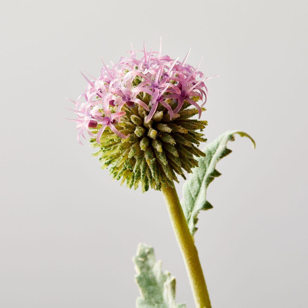 Faux Botanicals - Silver Thistle