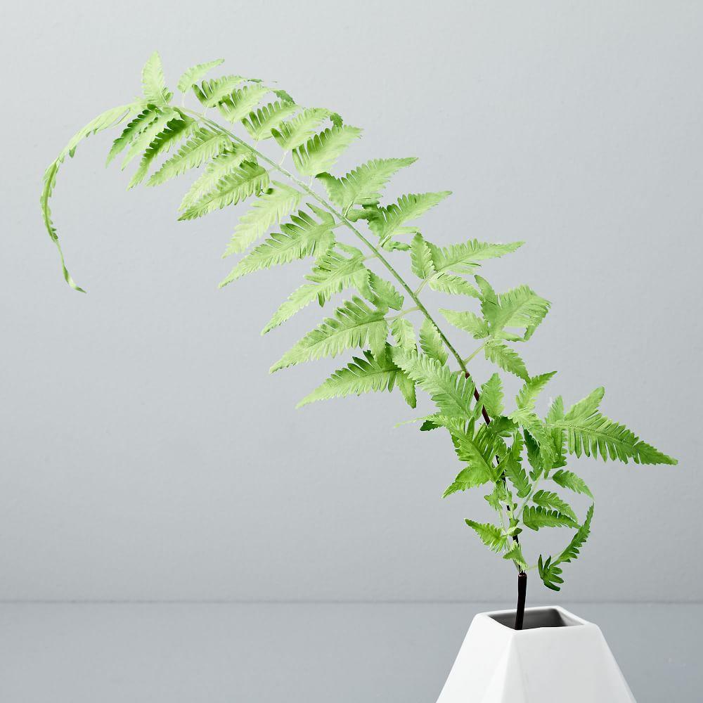 Faux Botanicals - Small Fern