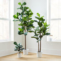 Faux Potted Fiddle Leaf Fig Plants
