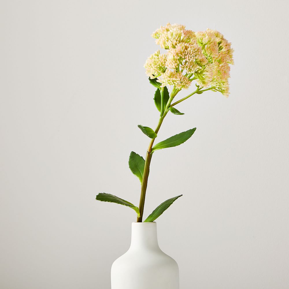 Faux Kalanchoe Stem