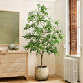 Faux Long Leaf Eucalyptus Potted Plant