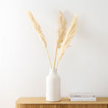 Faux Pampas Grass - Set of 3